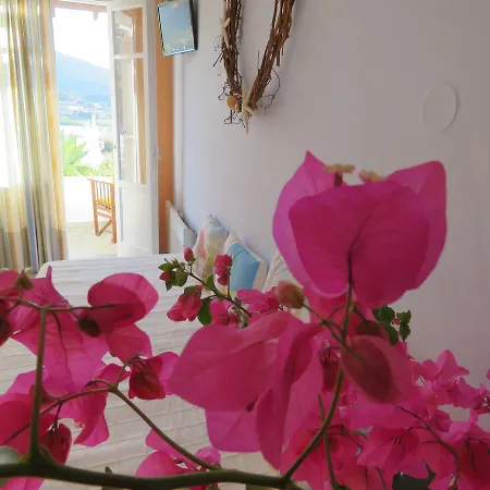 Apartment Korali Galissas